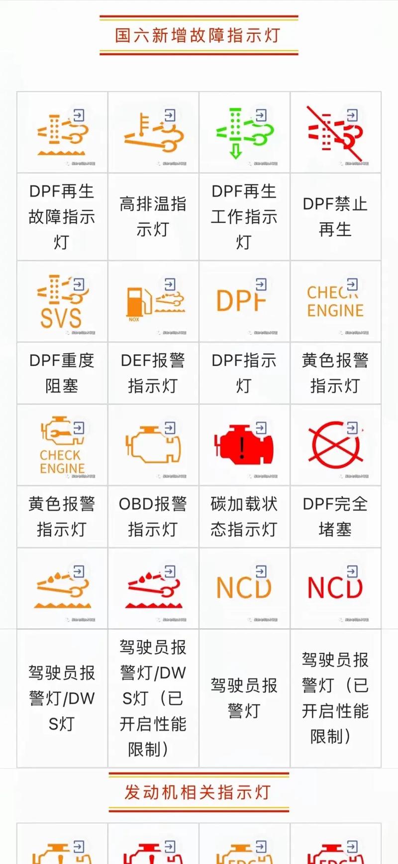 抖音dpf什么意思