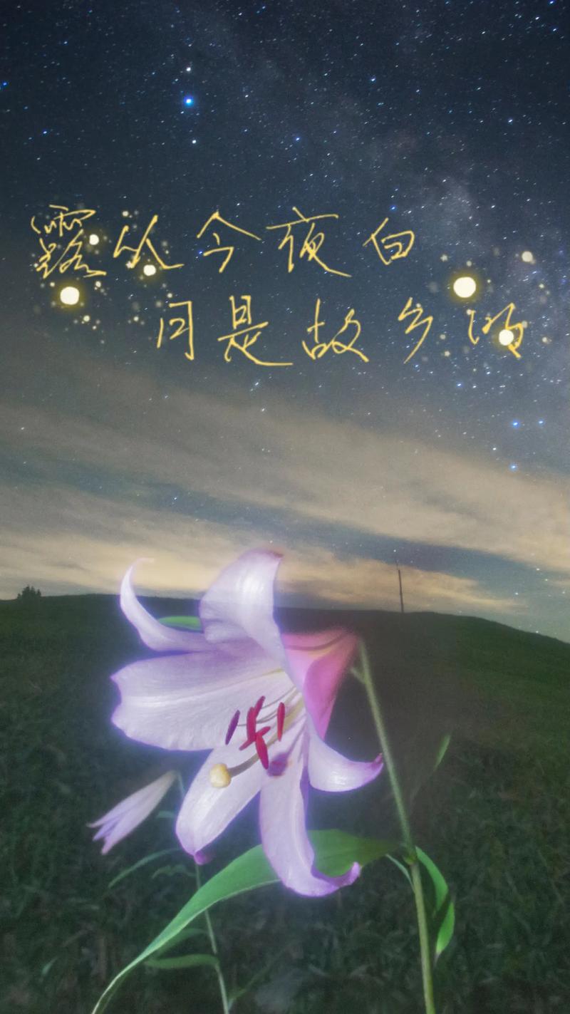 闪闪抖音什么意思