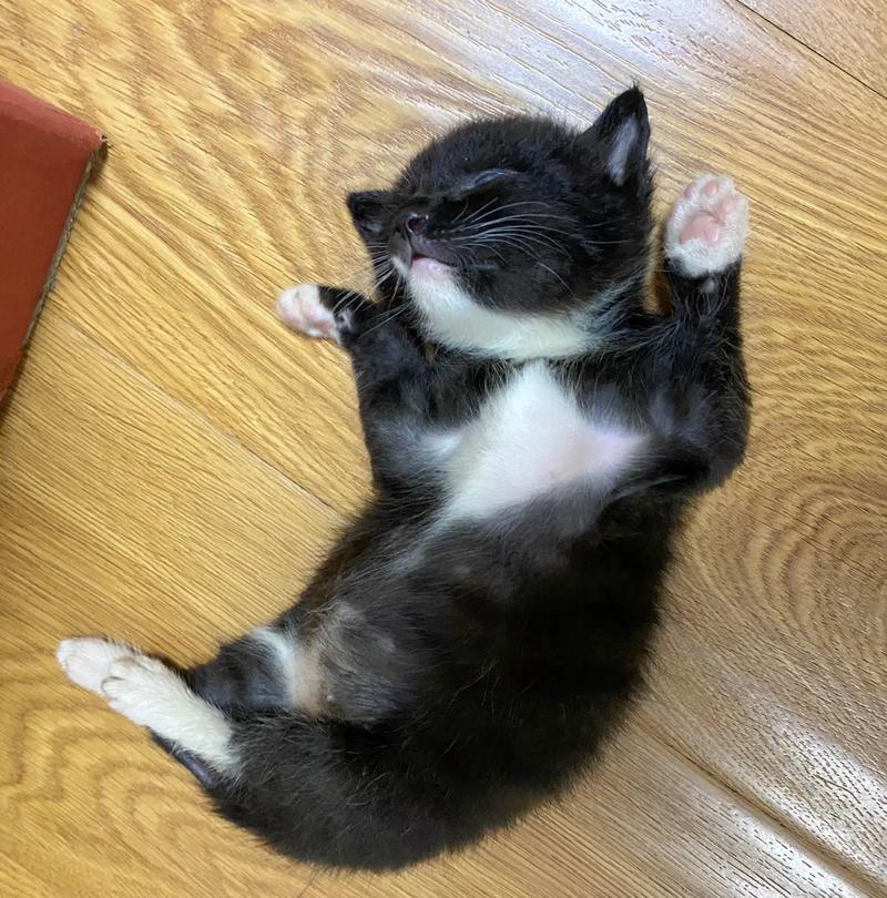 看什么抖音能瞌睡