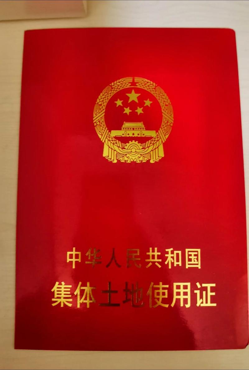 抖音属于什么产权性质