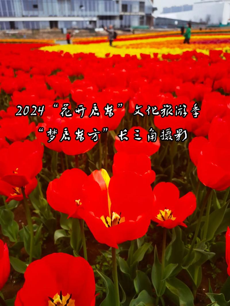 启东花花发了什么抖音