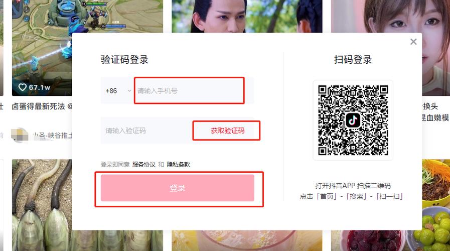 抖音登陆什么软件