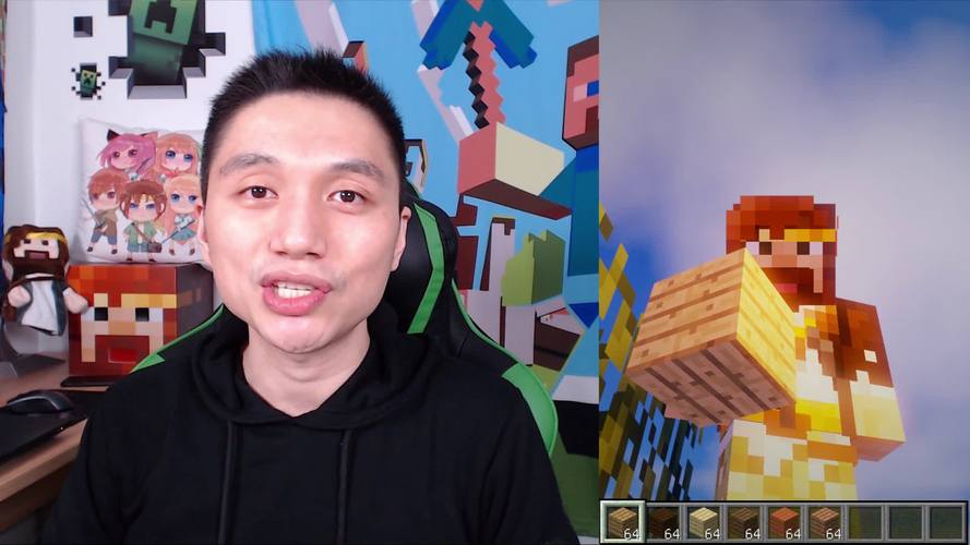 籽岷我的世界解说