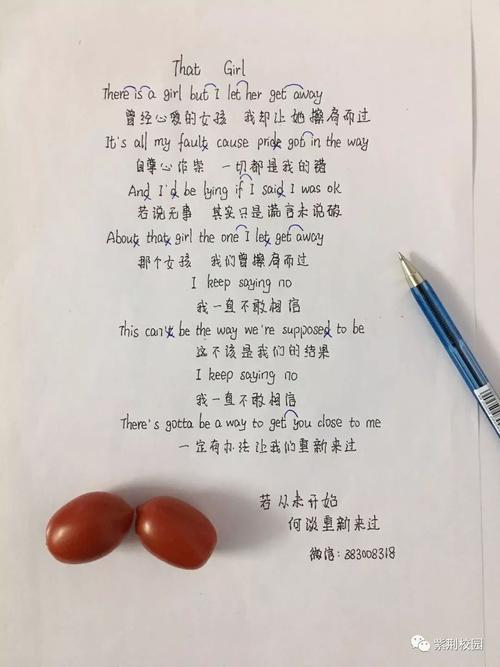 抖音girlgirlgirl是什么歌
