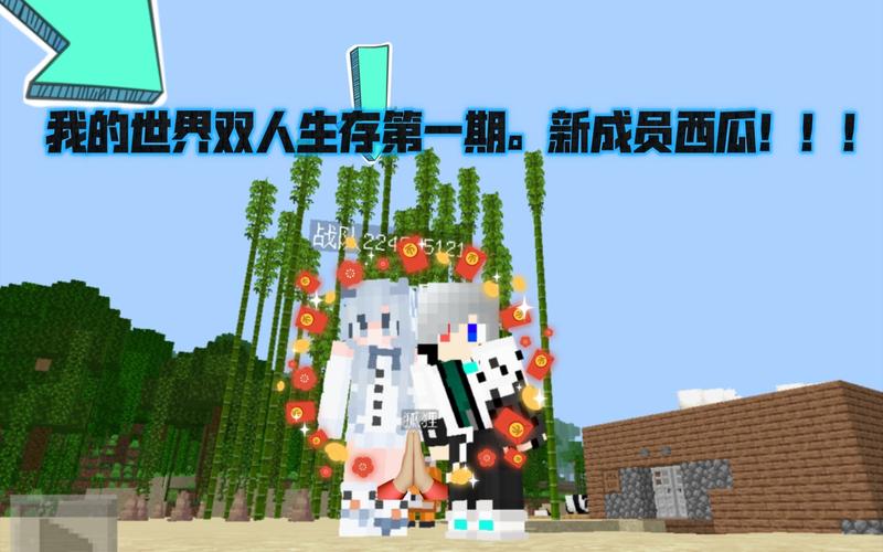 我的世界双人视频