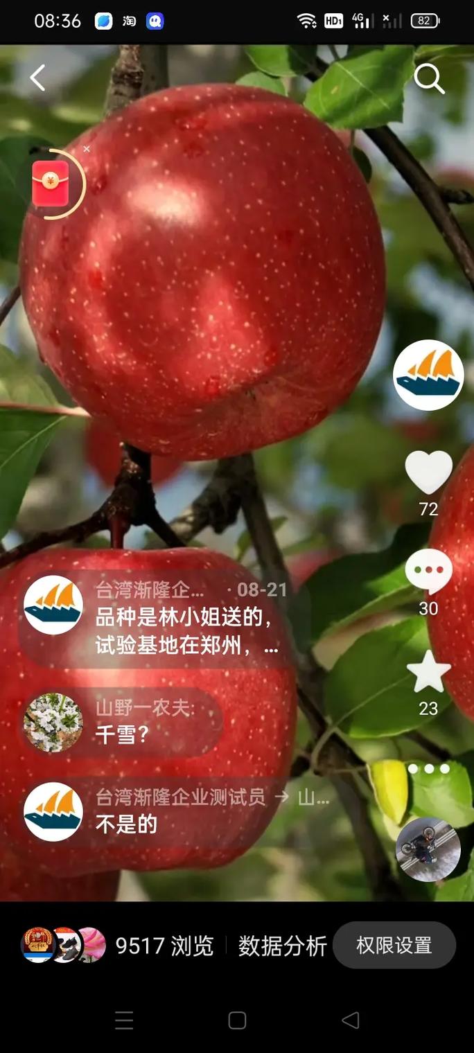 抖音苹果锯什么歌