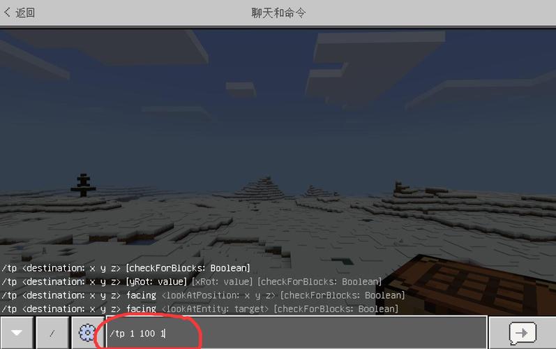 我的世界服务器怎么tp