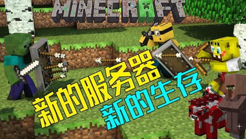 我的世界扁梨
