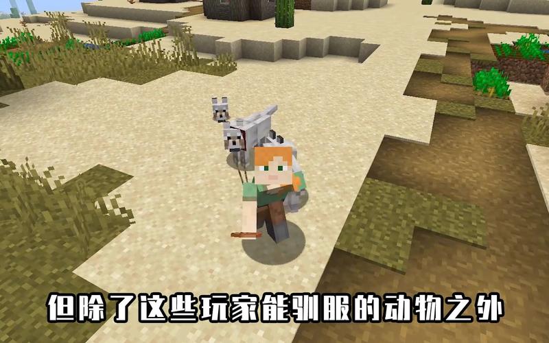 我的世界怎么养狼