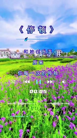 抖音停顿插曲叫什么