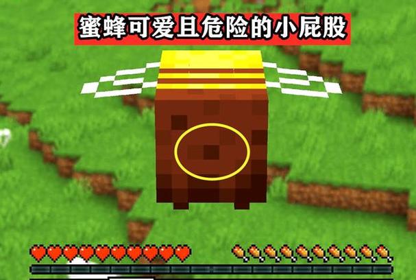 我的世界林业养蜂