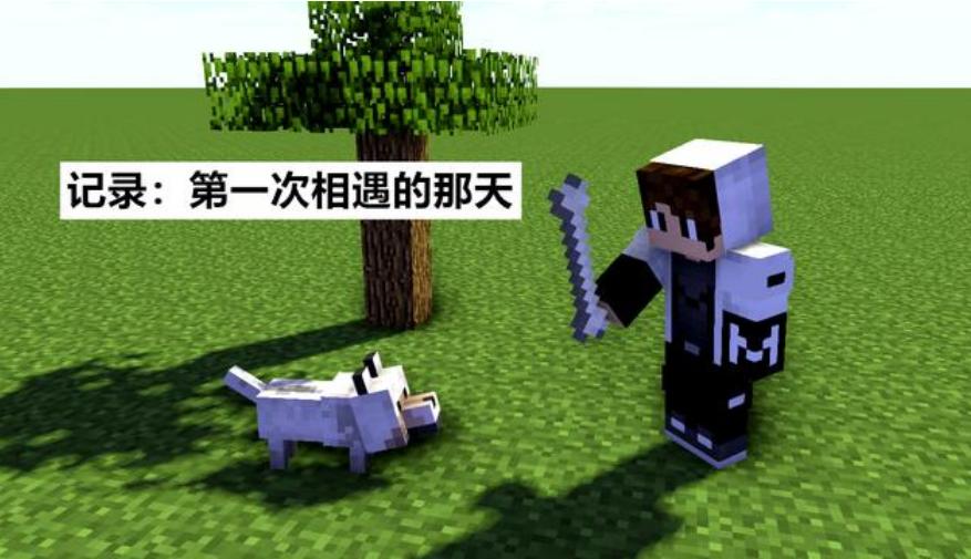 我的世界怎么养狼