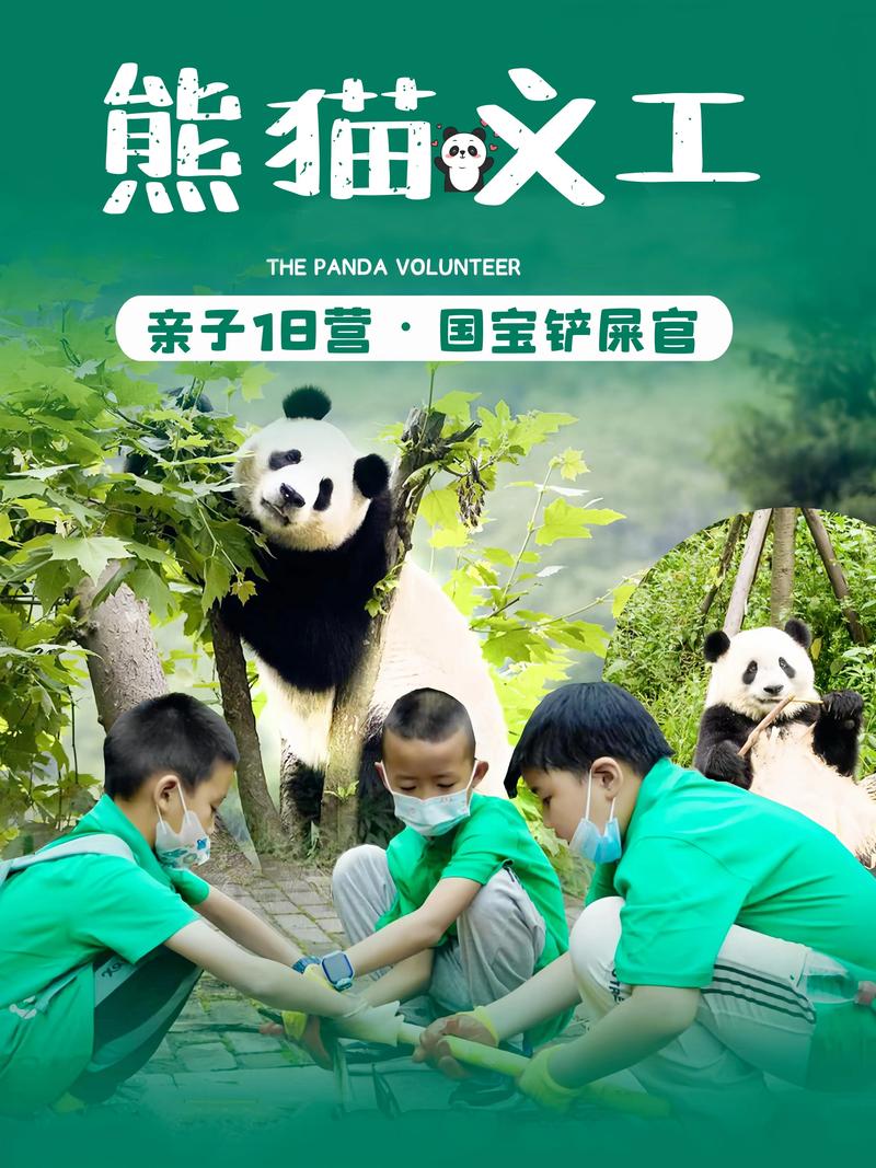 国宝抖音靠什么挣钱