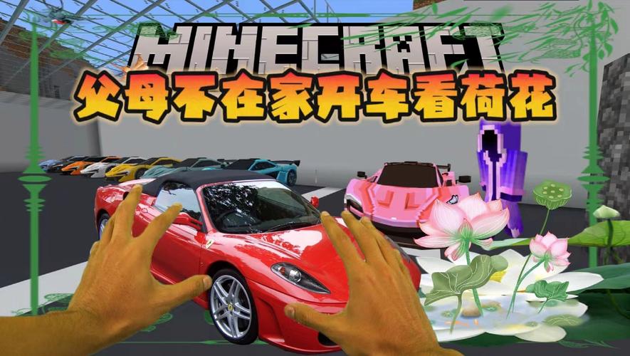 我的世界真人版动画片