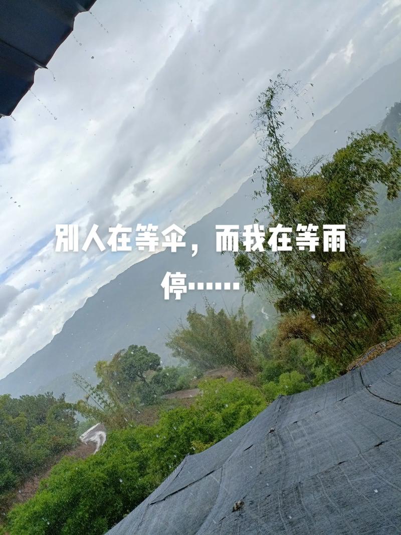 狼狈抖音配乐是什么