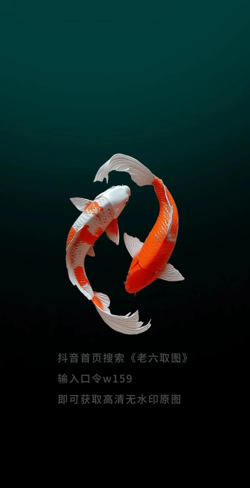 抖音吉祥领域是什么
