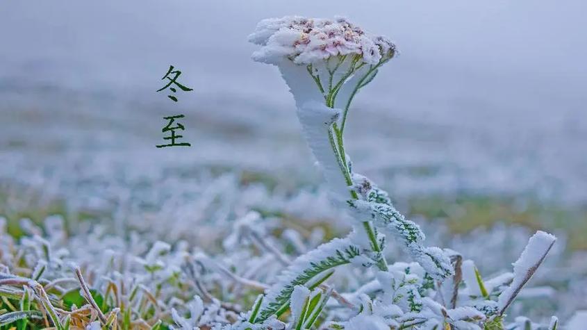 冬至节拍什么抖音好