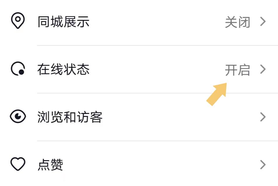 抖音隐身对面显示什么
