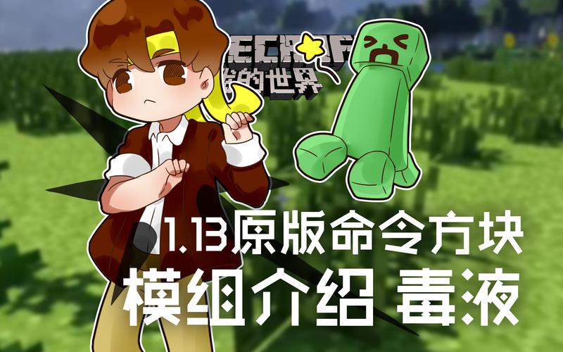 我的世界极限生存籽岷