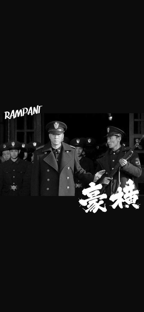 抖音豪横什么意思