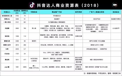 抖音账号属于什么类型