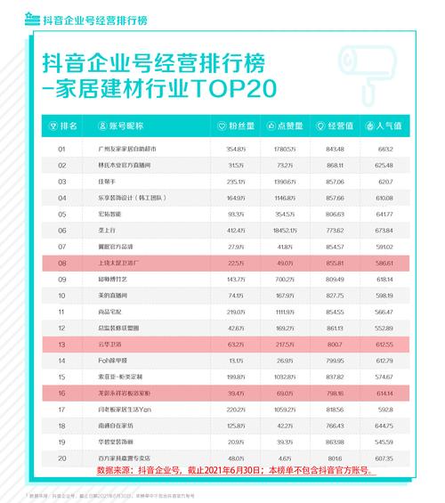 抖音帐号是什么类型