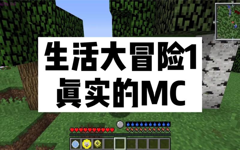 我的世界小枫生活大冒险
