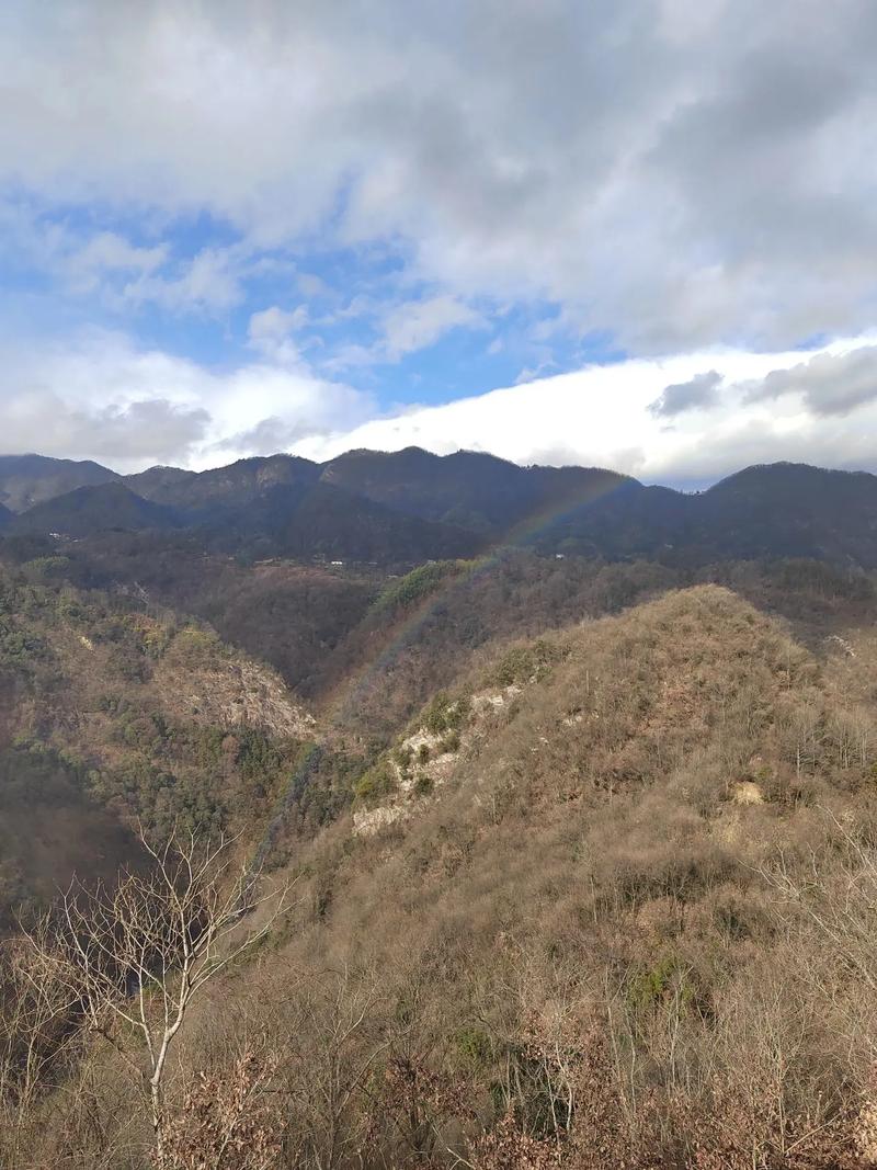 抖音奇迹山是什么