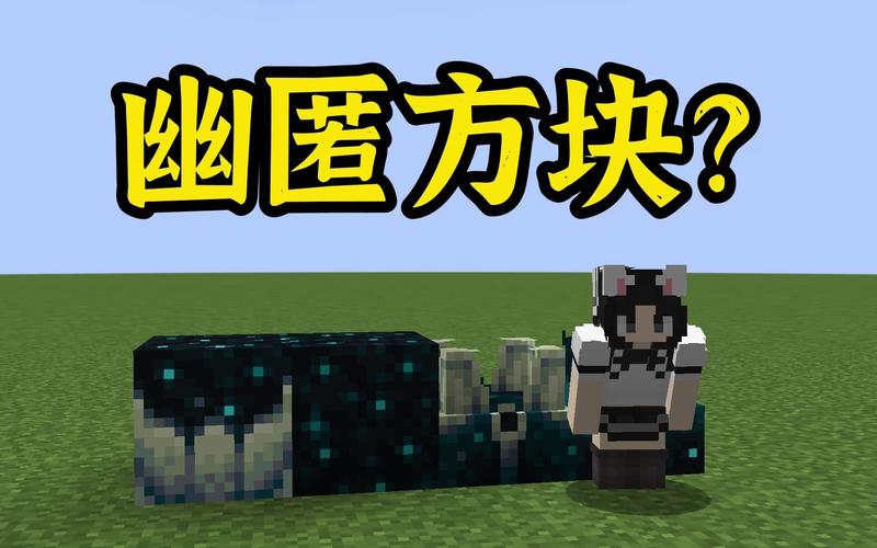 我的世界幽灵方块