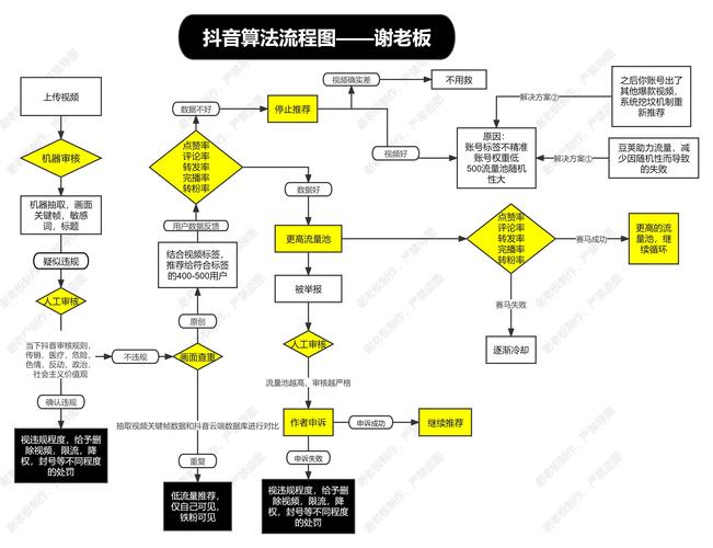 抖音新手开始学什么