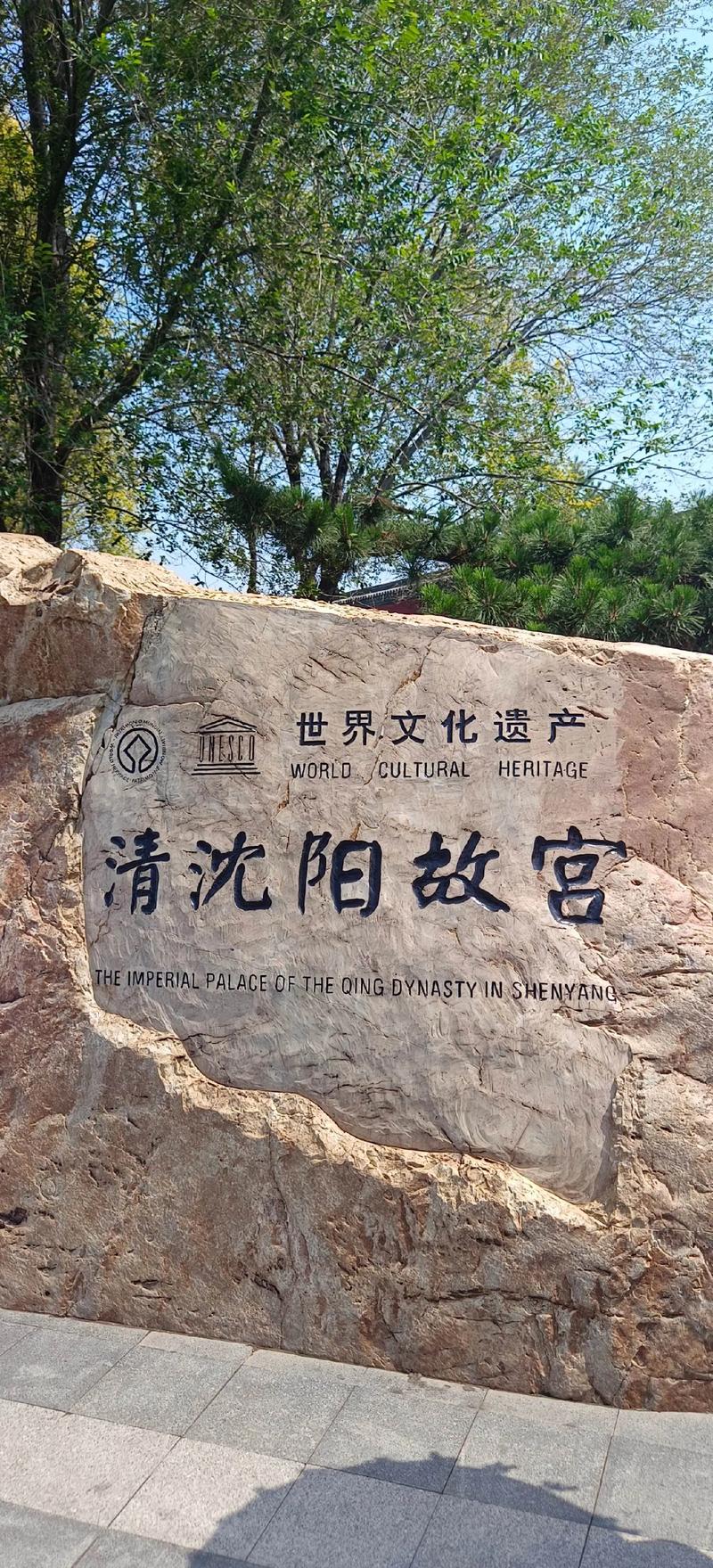 抖音盛京大叔什么背景