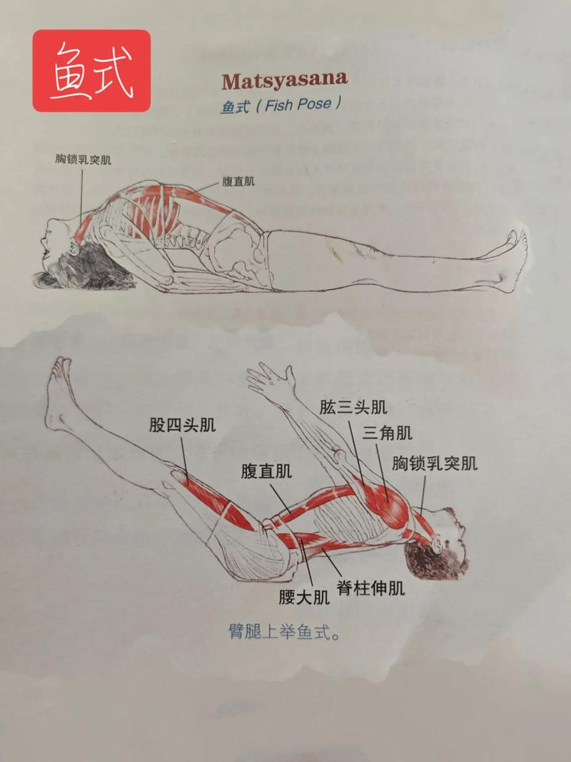 抖音倒立是什么歌