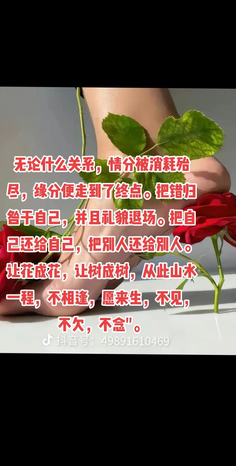 抖音 不什么不欠