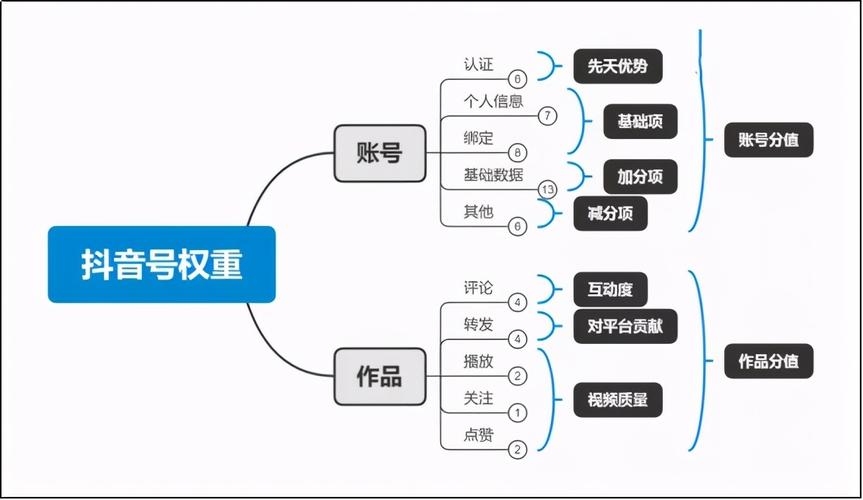 抖音权重和什么有关