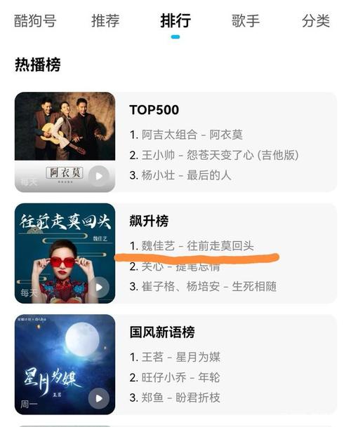 保定抖音歌曲是什么