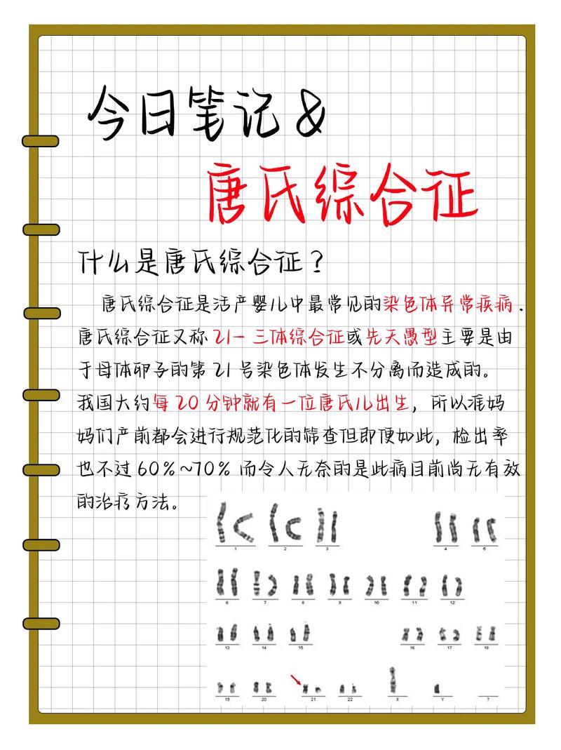 抖音综合排序是什么