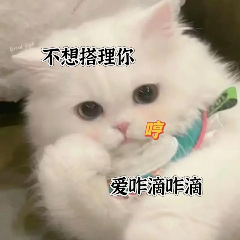 抖音什么都不想说