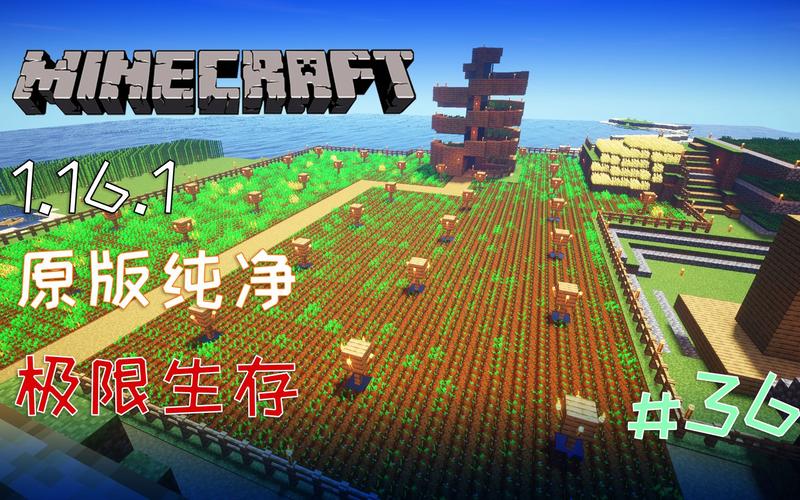 我的世界36