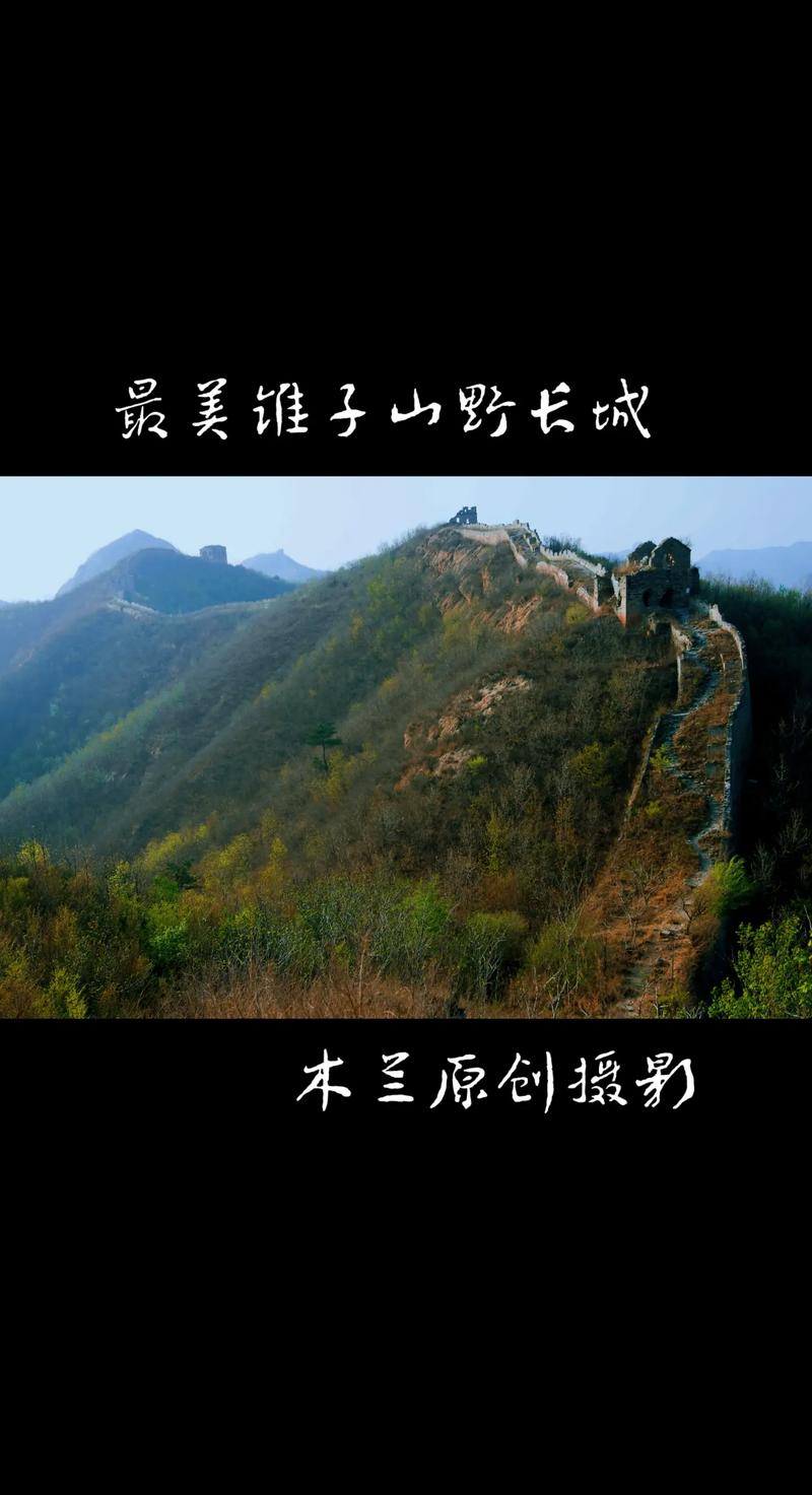 抖音奇迹山是什么