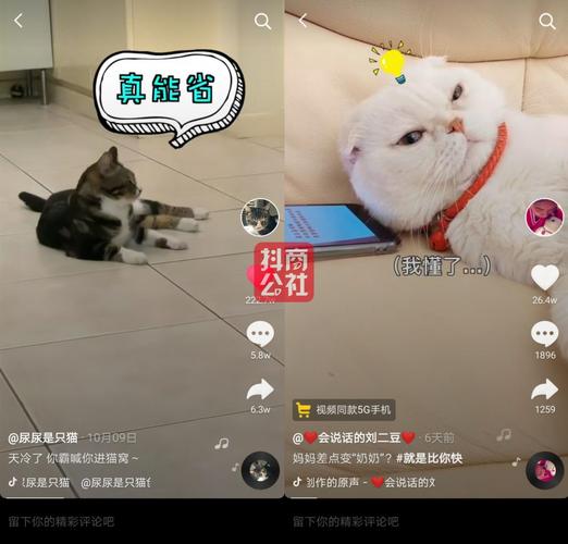 抖音做什么题材火