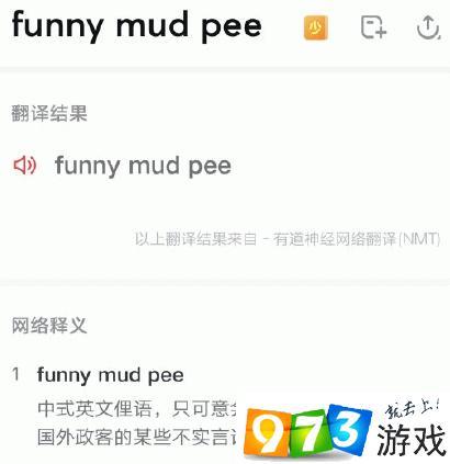 抖音ppe什么意思