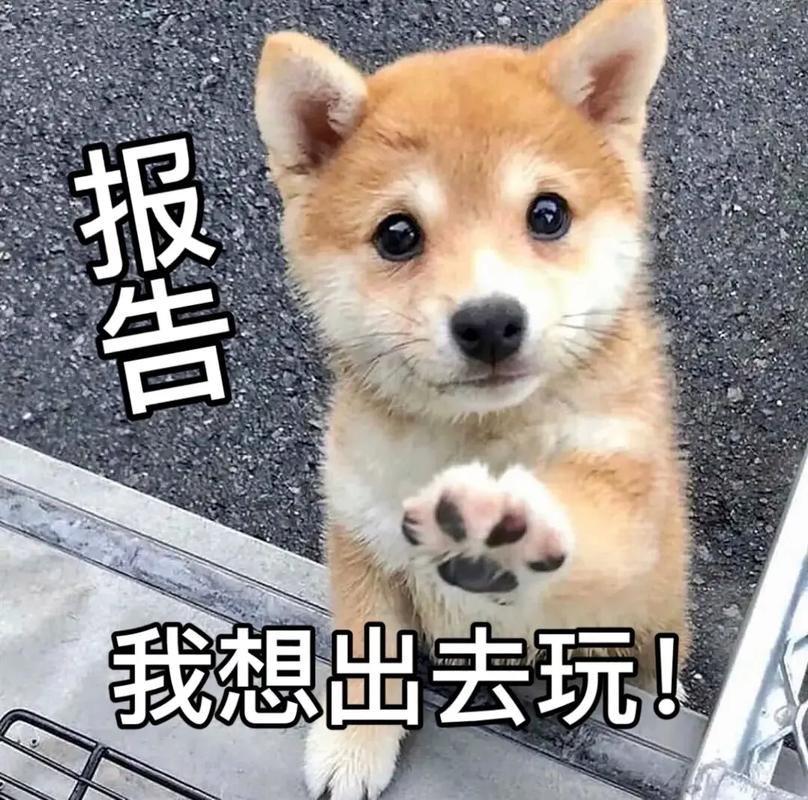 不去上班玩什么抖音