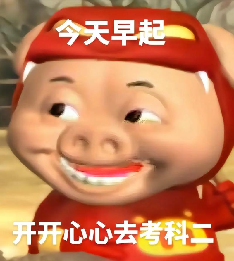 抖音驾照是什么梗