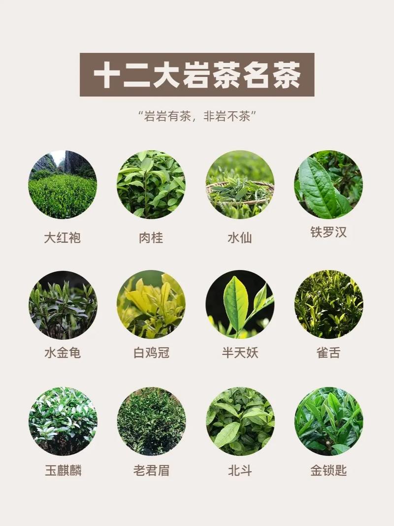 抖音顶级岩茶是什么