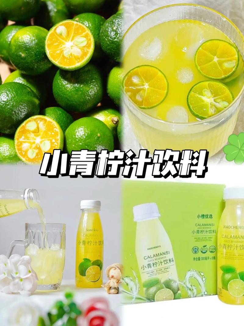 抖音试用饮料是什么