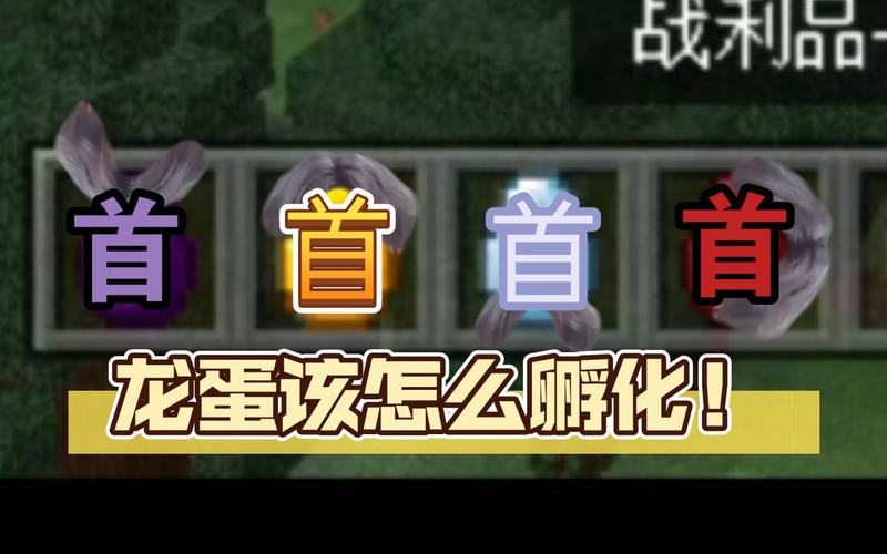 我的世界龙蛋孵化指令
