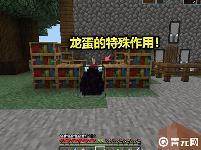 我的世界龙蛋孵化指令