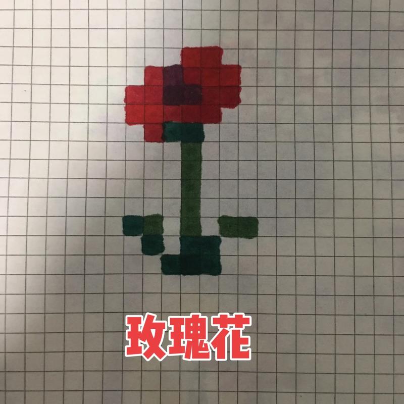 玫瑰我的世界