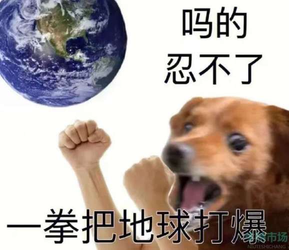 抖音葵内什么梗