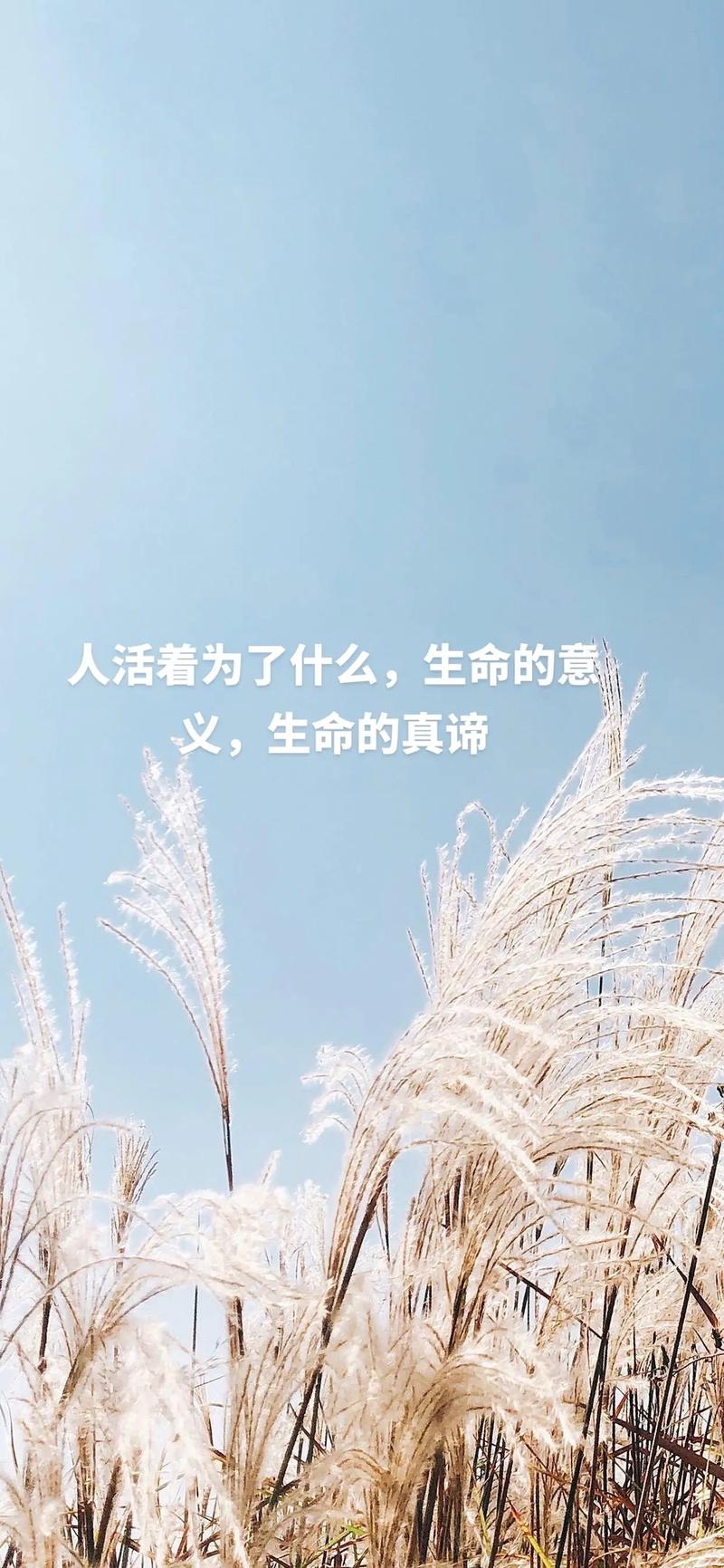 做抖音有什么意义